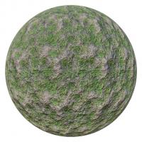 PBR Texture of Grass 4K